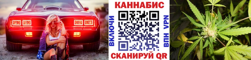 Каннабис план  где можно купить   Железногорск-Илимский 